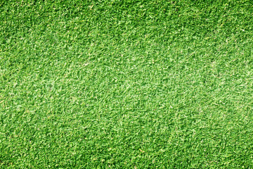 Obraz premium grass background Golf Courses green lawn