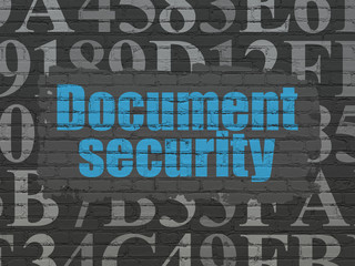 Privacy concept: Document Security on wall background