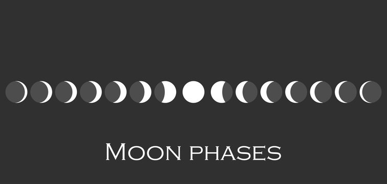 The phases of the moon. The whole cycle from new moon to full. Vector illustration