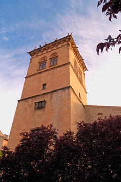 Condes de Gomara Palace in Soria, Castilla Leon, Spain