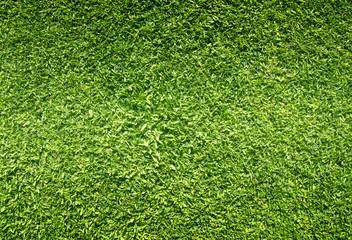 Obraz premium grass background Golf Courses green lawn