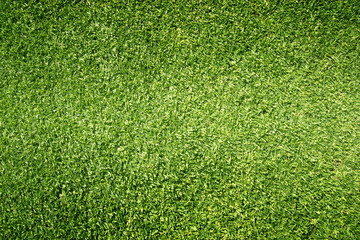 Obraz premium grass background Golf Courses green lawn