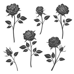 Rose buds vector silhouettes. Flowers design elements