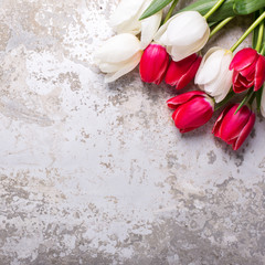 Bright red and white tulips flowers on grey textured  background.