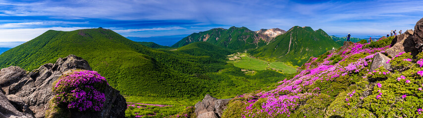 くじゅう 平治岳_大船山と並んで6月にはミヤマキリシマの「天空のお花畑」となる、北面の吉部登山口からのコースもミツバツツジや秋の紅葉が美しい