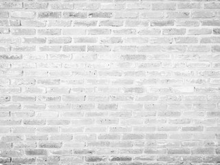 Abstract white brick texture background  : empty interior room with copy space for creative studio backdrop project.