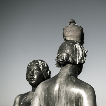 Pigeon sur une sculpture