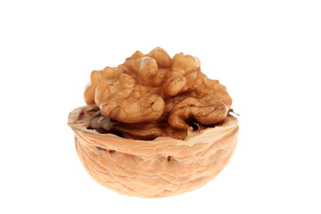walnut