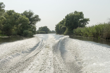 Channel landscape with waves in Danube Delta, Romania, on summer day