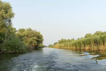 Channel landscape with waves in Danube Delta, Romania, on summer day