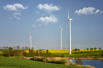 Wind power plant in the fieds, Poland , Sztum 