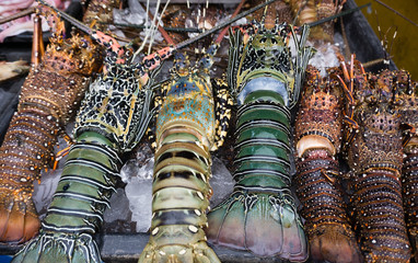 Fresh lobster sold at night market in Kota Kinabalu, Sabah Borneo, Malaysia.