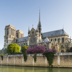 Fototapeta na wymiar Cathédrale Notre-Dame de Paris avec la flèche de Violet Leduc