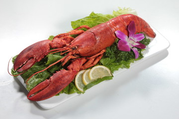 lobster cuisine