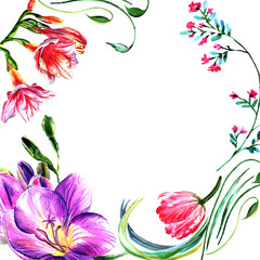 Fototapeta na wymiar Wildflower peony flower frame in a watercolor style isolated.