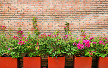 Brick wall background with flower in pot.