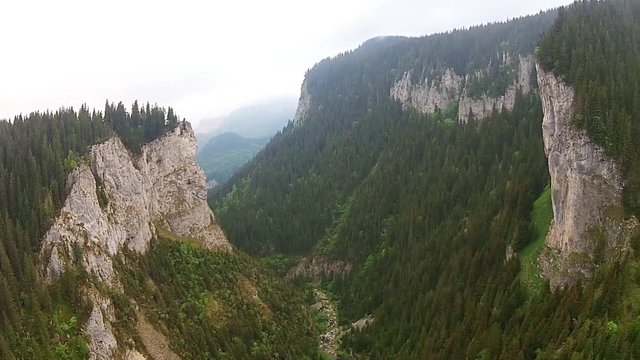 Flying alongside spectacular  limestone shale conglomerate rocks and coniferous trees , alpine landscape in the Zanoaga Gorge , Bucegi Natural Park , Carpathian Mountains, Romania, aerial view