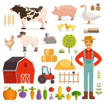 Different farm elements. Vegetables, transport and domestic animals. Vector illustrations set