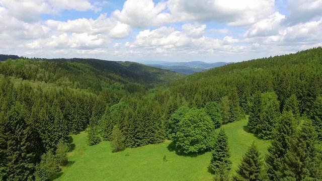 Aerial view of the summer time in mountains near Czarna Gora mountain in Poland. Pine tree forest and clouds over blue sky. View from above.