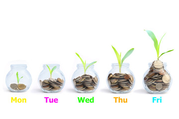 Save money concept - coins in a glass jar with a plant.