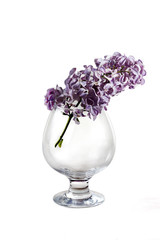 Lilacs in a glass