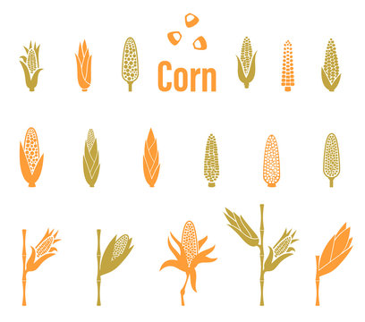 Corn icons. Agriculture Logo template.