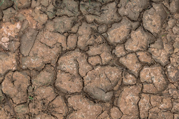 Drought dry ground  texture.
