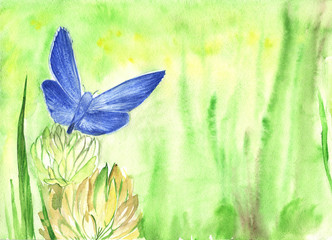 Watercolor background with butterfly