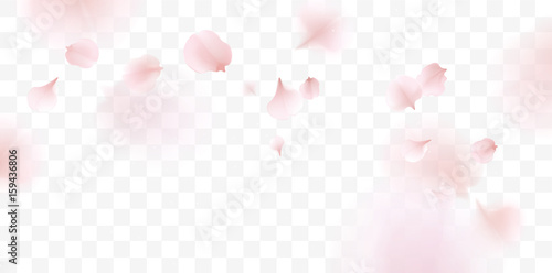 "Pink sakura petals falling background" Stockfotos und lizenzfreie Vektoren auf Fotolia.com