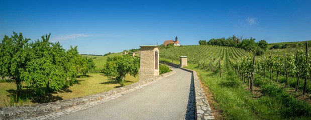 Church high on top of the vineyards panorama
