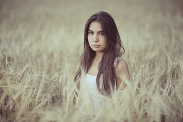 Young glamorous model posing in a field wheat