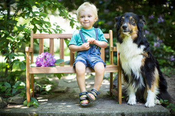 Familienleben mit Hunden