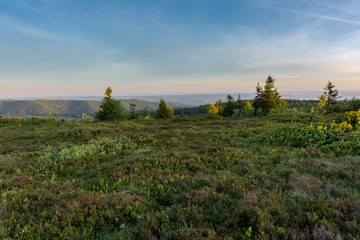 Fototapeta premium French countryside - Vosges. Sunrise in the Vosges with trees and meadow.