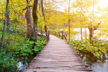 Fototapety  Wood path in the Plitvice lake national park