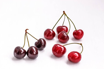 Burgundy cherry on white background