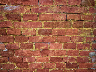 old bricks wall