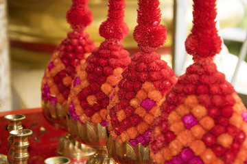 Phan bush, Phan Thailand, Globe amaranth