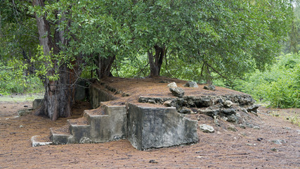 Fototapeta premium Remnants of a colony in Aldabra
