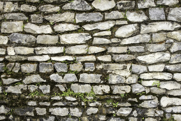 Moss stone wall