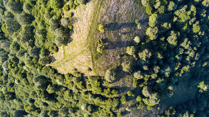 Vista aerea di un sentiero che porta sul Monte Boletto, Alpi, nei pressi del lago di Como. Como, Brunate, Lombardia, Italia