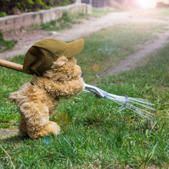 Teddy bear