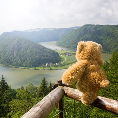 Teddy bear
