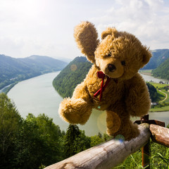 Teddy bear