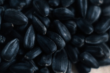 Sunflower seeds with sunflower close-up on blurred background.