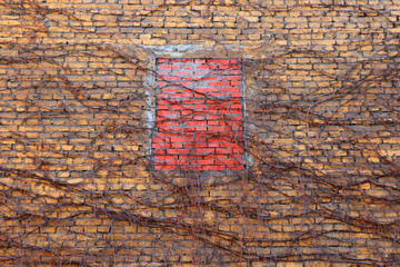 Background of brick wall.Old house.