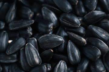 Sunflower seeds with sunflower close-up on blurred background.