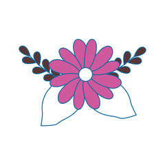 Beautiful ornamental flowers icon vector illustration graphic design