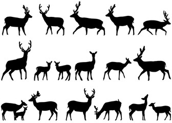 Obraz premium Zbiór sylwetki dzikich zwierząt - rodziny jeleniowatych