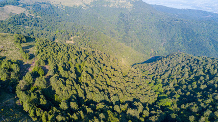 Vista aerea di un sentiero che porta sul Monte Boletto, Alpi, nei pressi del lago di Como. Como, Brunate, Lombardia, Italia
