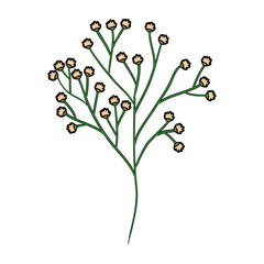 Beautiful ornamental flowers icon vector illustration graphic design